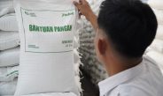 DUGAAN KEJANGGALAN BANSOS: Penyaluran Beras 92 KPM Di Desa Belimbing Diragukan, Koordinator Bungkam Soal Juknis